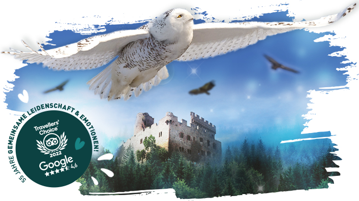 Header-Volerie-des-aigles-DE-2023 Header-Volerie-des-aigles-DE-2023