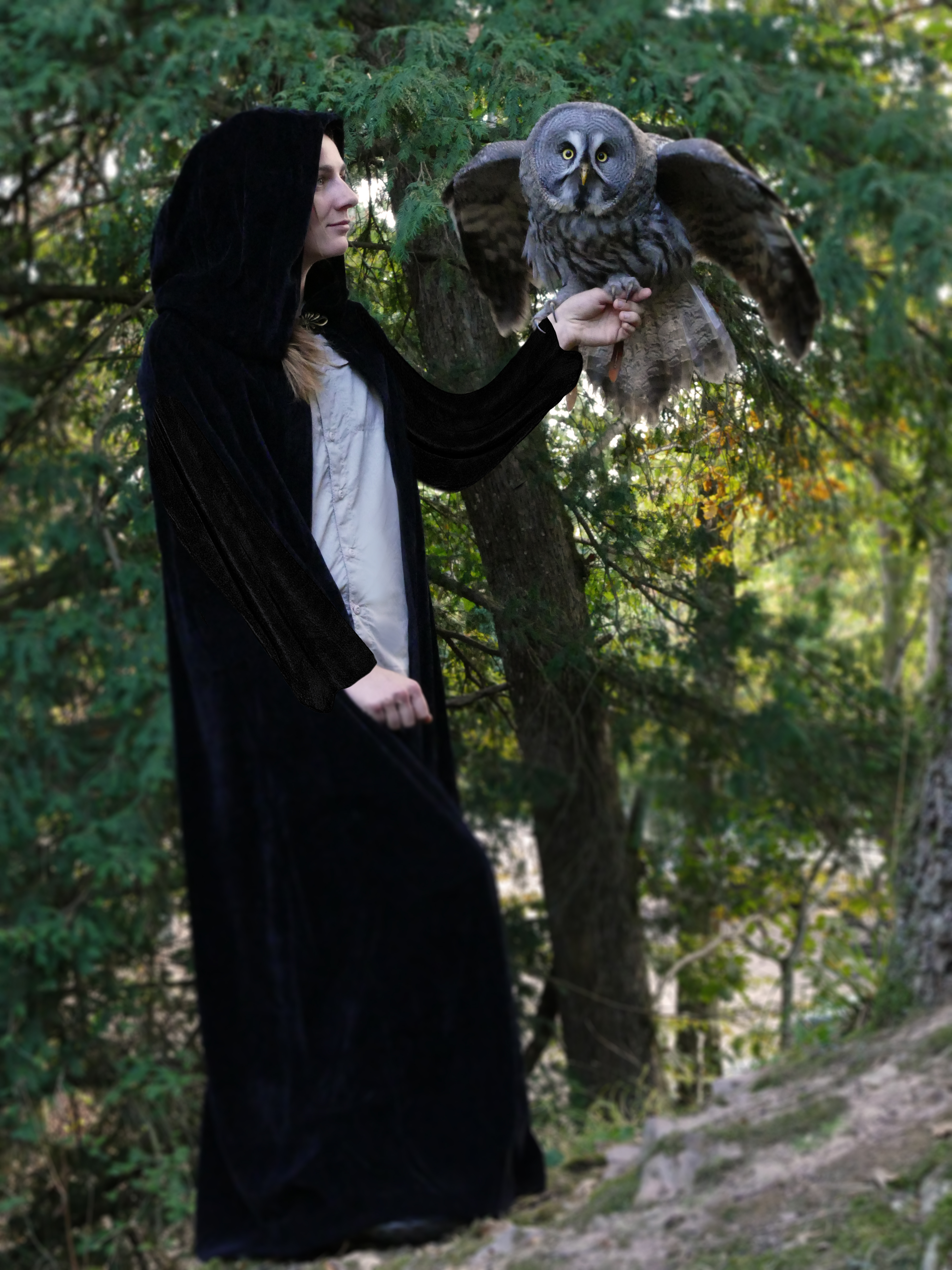 montage-rosie-skoll-halloween montage-rosie-skoll-halloween