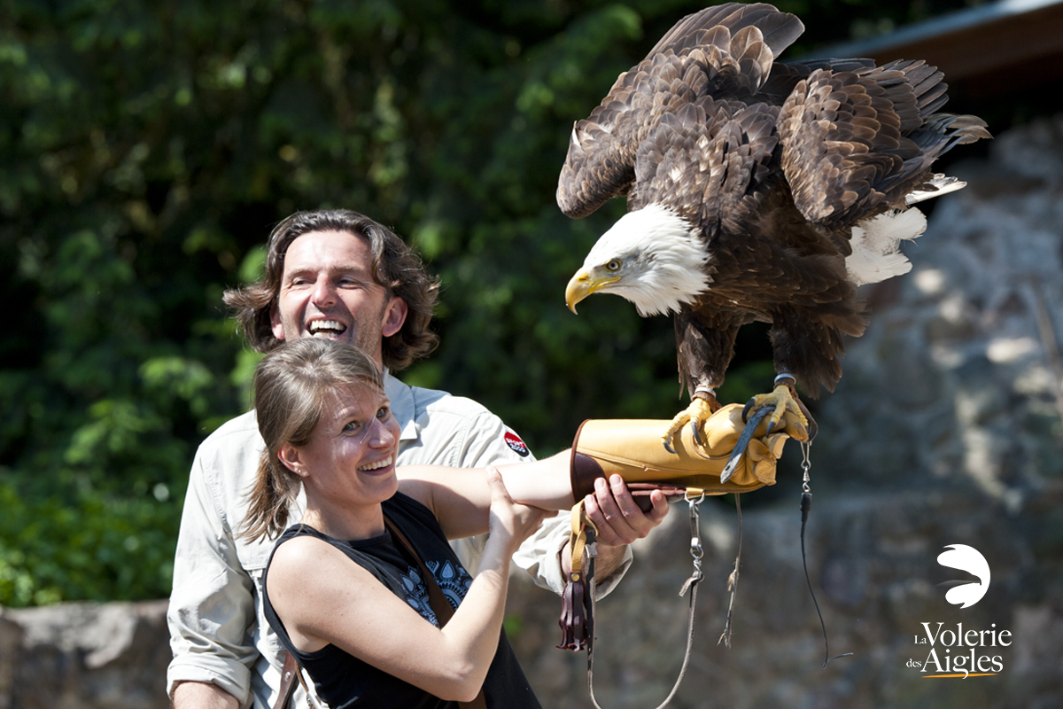 journee-exception-volerie-des-aigles-billetterie-1