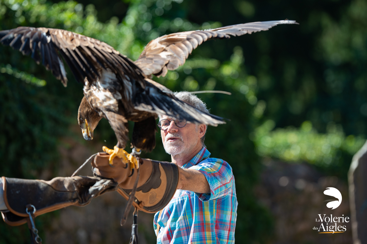 journee-exception-volerie-des-aigles-billetterie-3