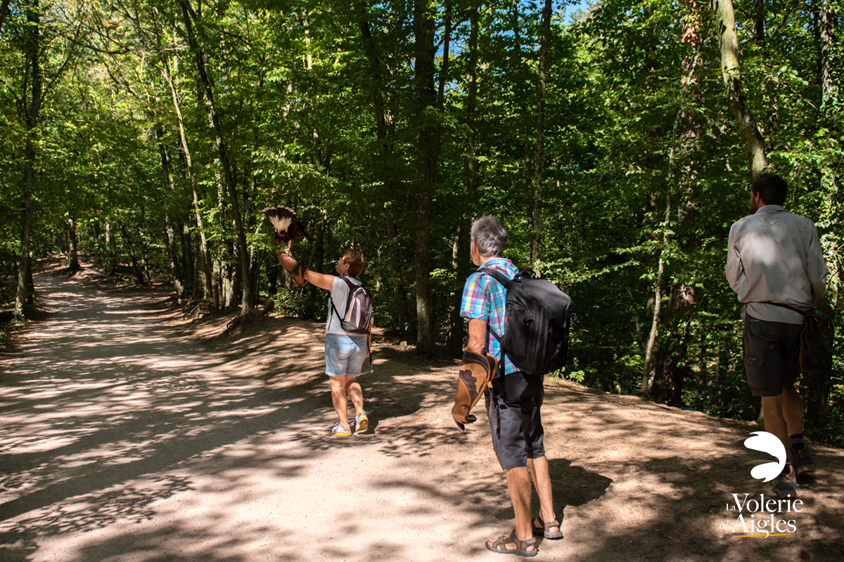 journee-exception-volerie-des-aigles-billetterie-2 journee-exception-volerie-des-aigles-billetterie-2