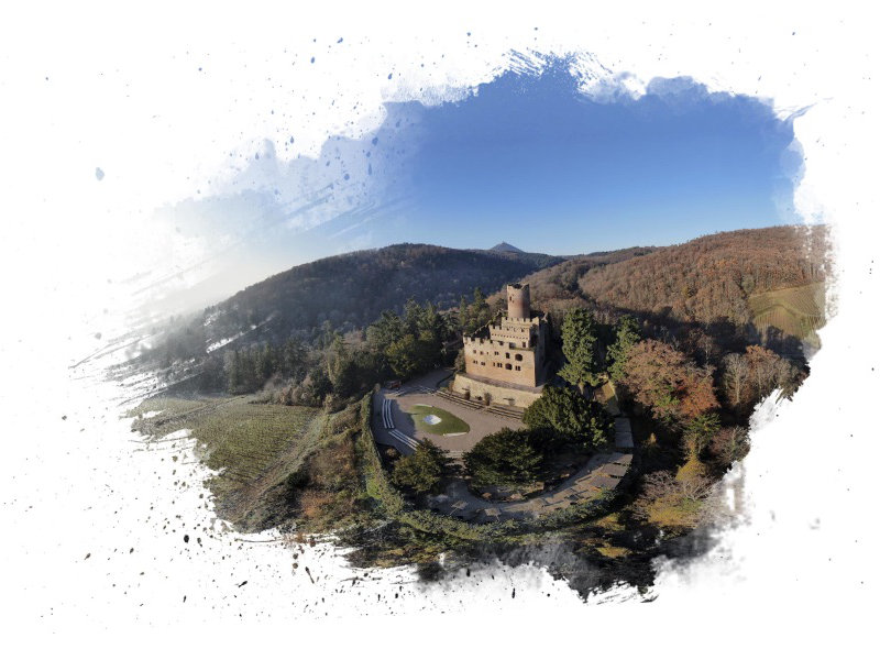 header-visite header-visite
