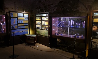 salle_pedagogique_chateau salle_pedagogique_chateau