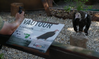 panneau_infos_rapaces panneau_infos_rapaces