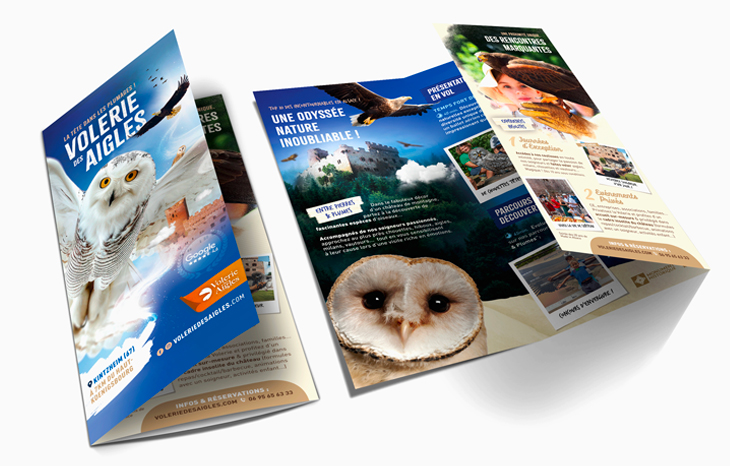 brochure-2025-volerie-des-aigles-mock-up brochure-2025-volerie-des-aigles-mock-up