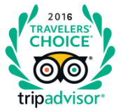 La Volerie des Aigles | Logo TripAdvisor 2016 tripadvisor_2016