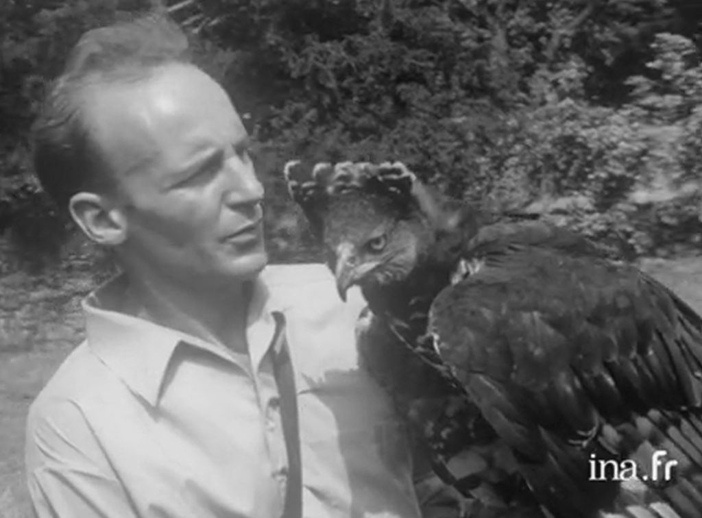 La Volerie des Aigles | Histoire | Jacques jacques-1968-1024x756