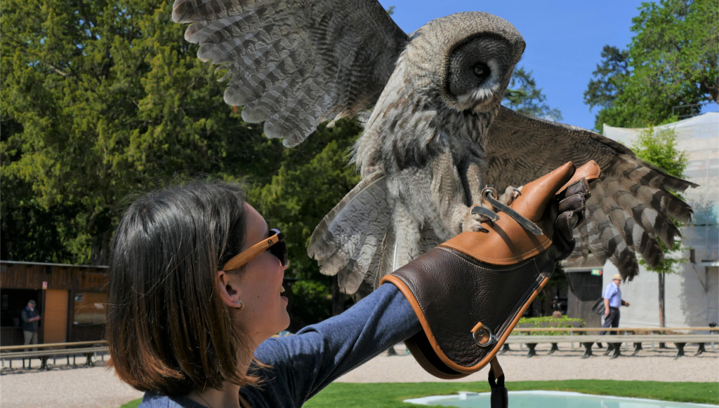 menu_journees_exception