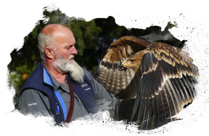 La Volerie des Aigles | Les coulisses header brushe-coulis