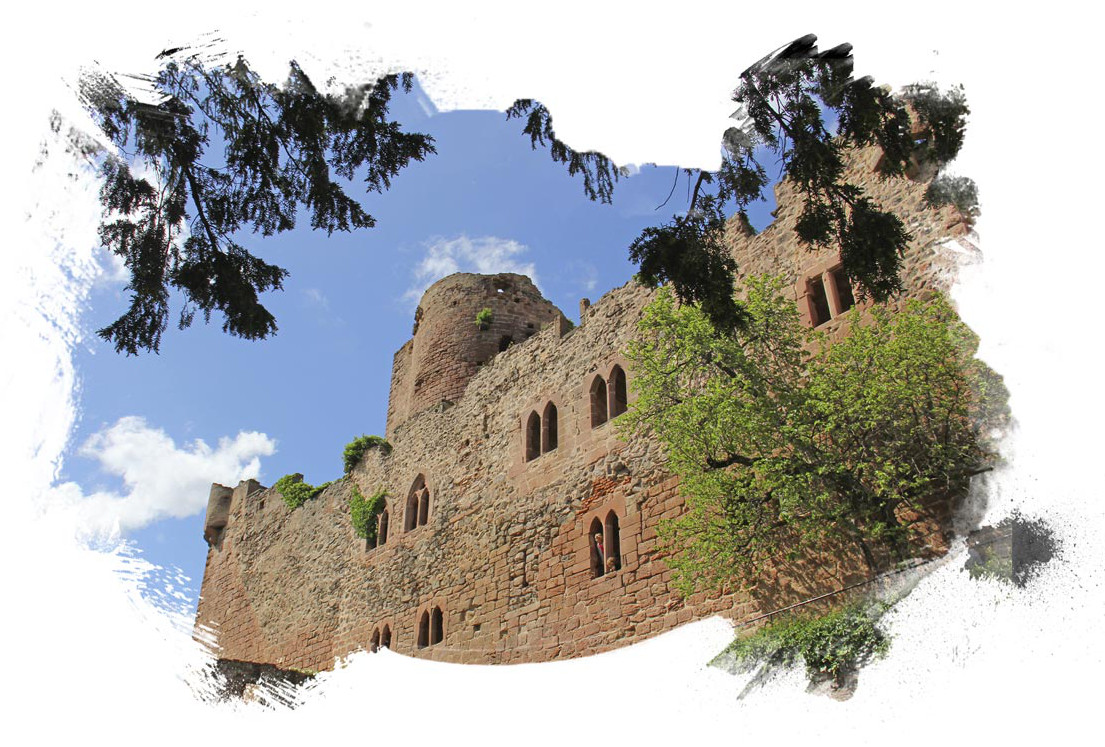 La Volerie des Aigles | Château de Kinztheim header chateau (1)