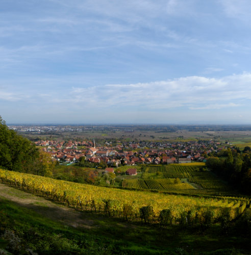 plaine-alsace plaine-alsace