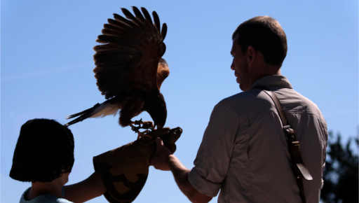 PHOTO_MENU_SCOLAIRES