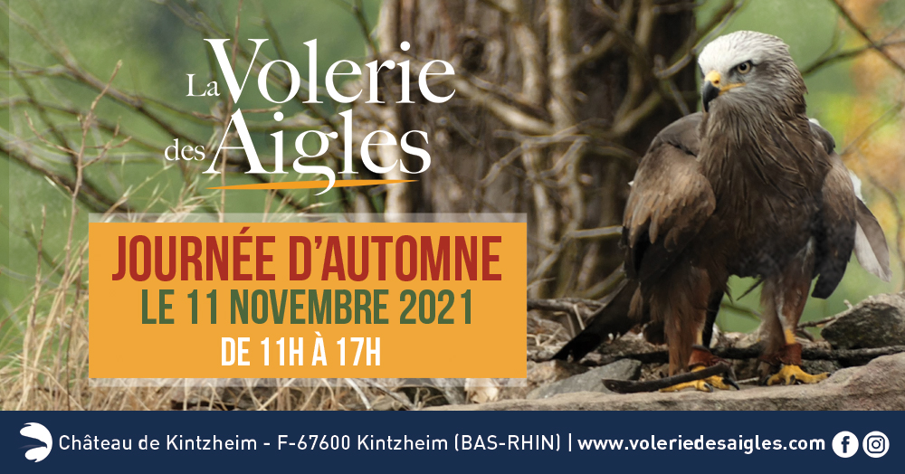 banniere_journee_automne_11novembre2021 banniere_journee_automne_11novembre2021