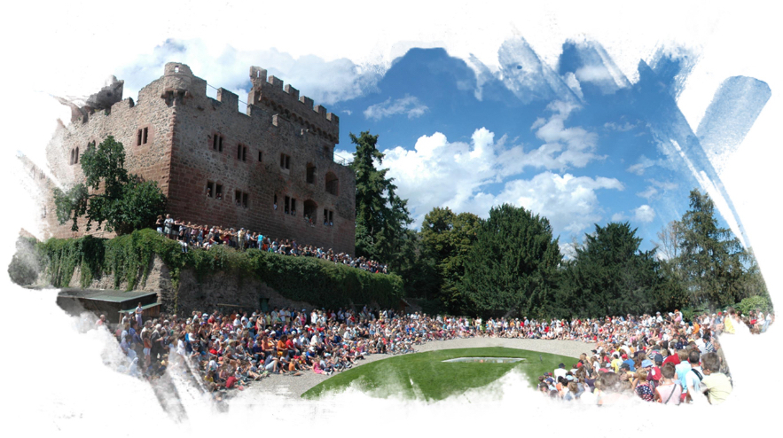 La volerie des Aigles - Le château de kintzheim header-home