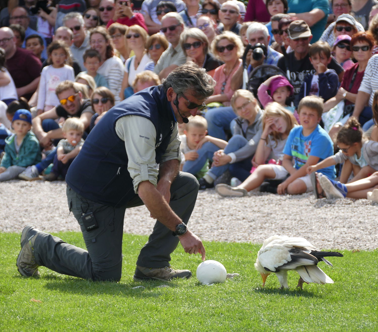 Volerie-des-aigles_presentation-en-vol-1 Volerie-des-aigles_presentation-en-vol-1