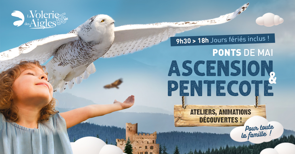 banniere-WEB_ascension-et-pentecote-2023 banniere-WEB_ascension-et-pentecote-2023