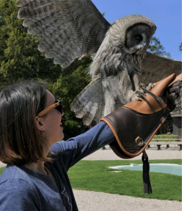 Les journées d’exception