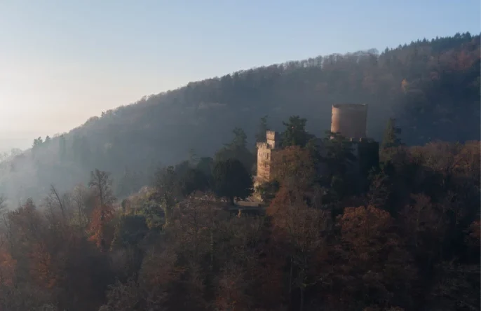 Château de Kintzheim en Alsace, vue panoramique des ruines historiques entourées de nature
