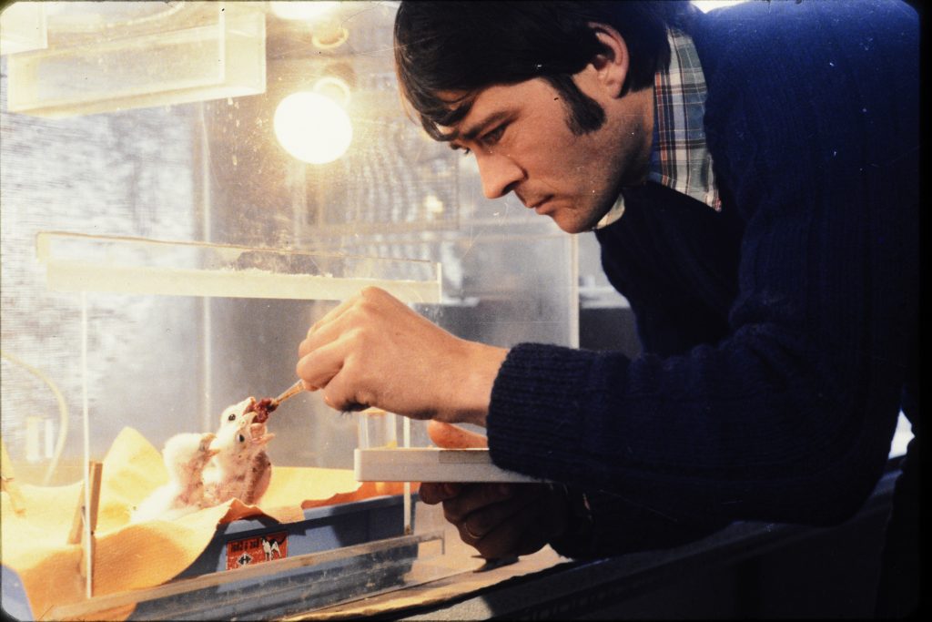 Soigneur nourrissant des poussins à la Volerie des Aigles à Kintzheim, Alsace