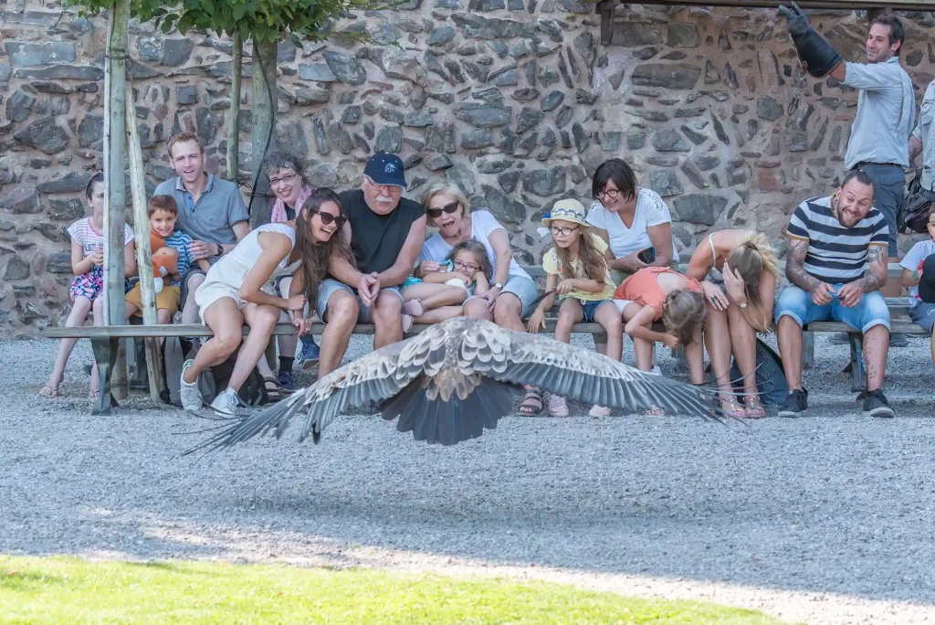 Demande de devis personnalisé