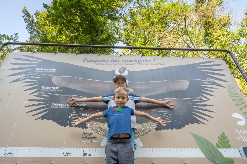 Visiteurs comparant leur envergure par rapport à un rapace. Volerie des Aigles