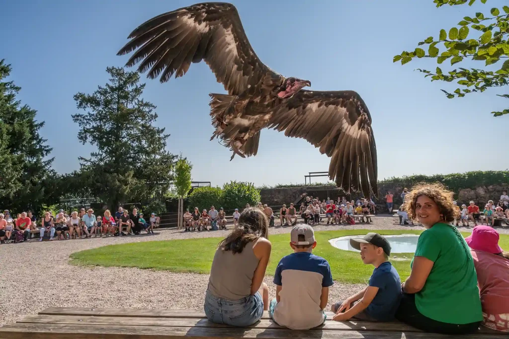 Le spectacle « Entre ciel & terre »