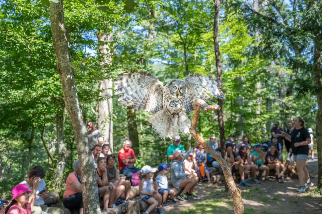 Infos et accessibilité