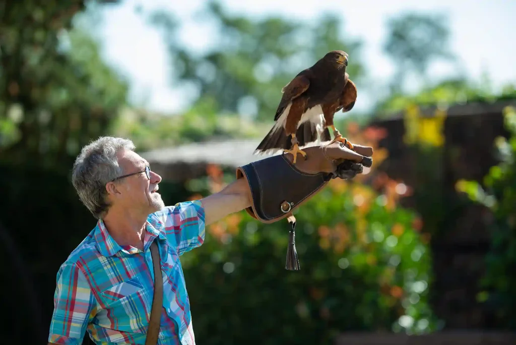 Journées d’Exception 2026 : réservations ouvertes !