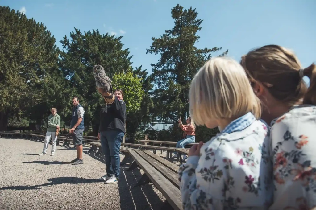 Famille dans la peau d'un soigneur lors d’une journée d'exception à la Volerie des Aigles