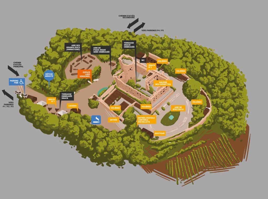 Plan de la Volerie des Aigles en Alsace