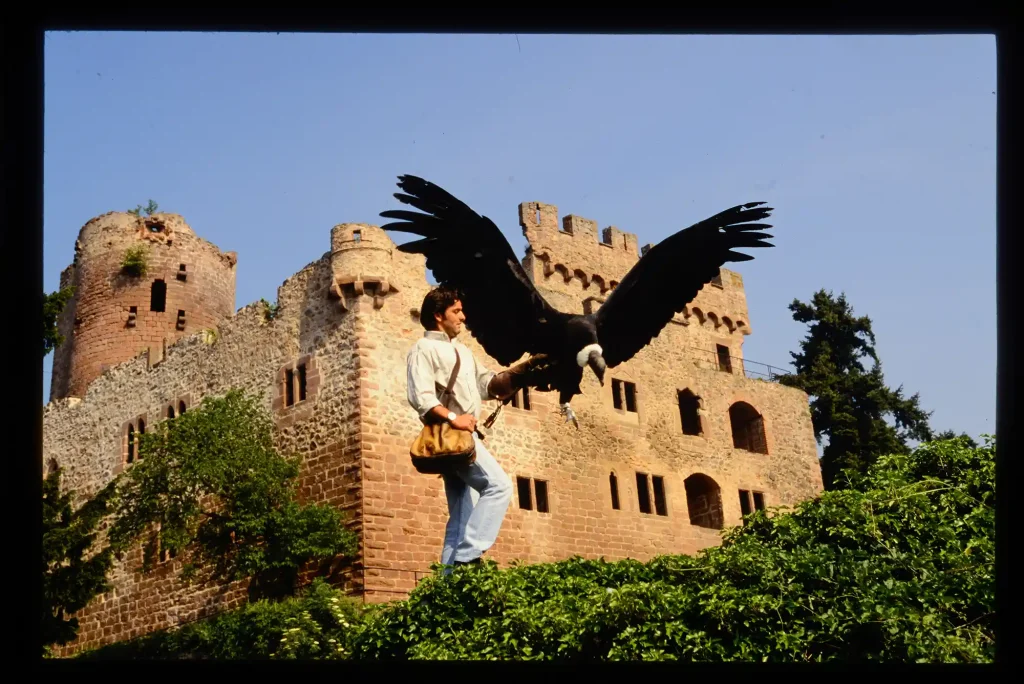 L’histoire du parc