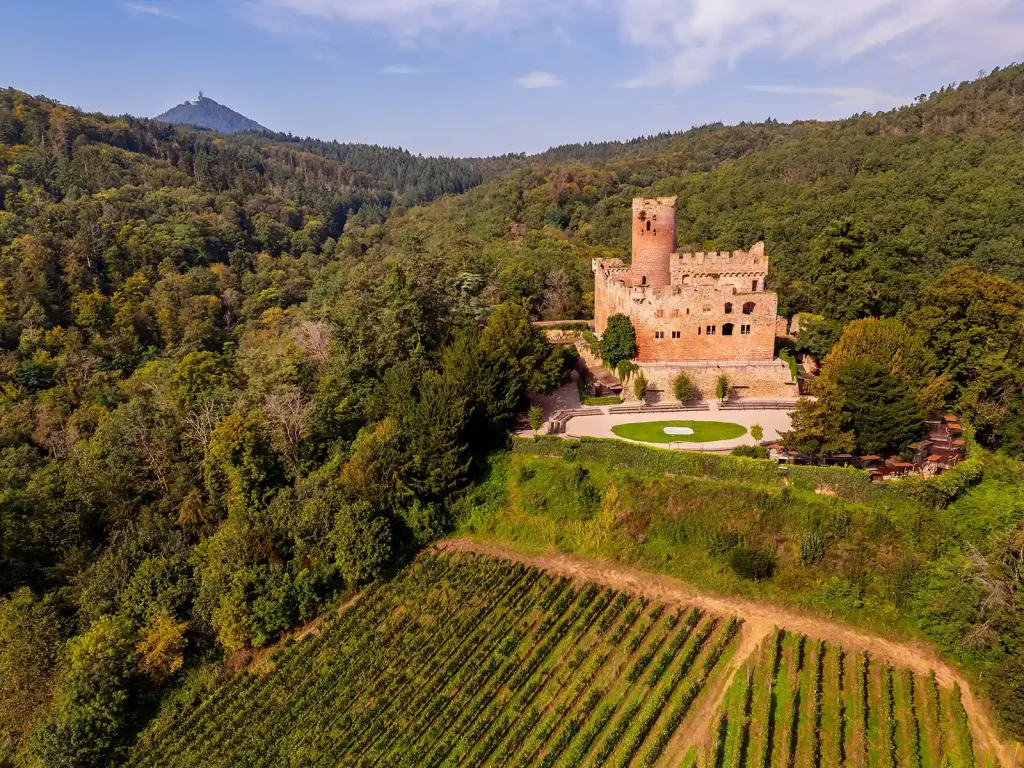 Les rendez-vous de l’année