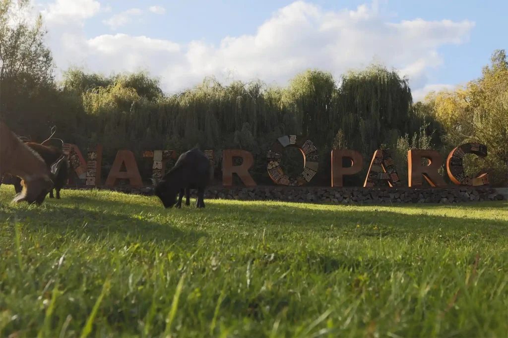 Découverte de la biodiversité locale à NaturoParc à Hunawihr : cigognes, loutres et autres espèces dans un cadre naturel et pédagogique, idéal en famille.
