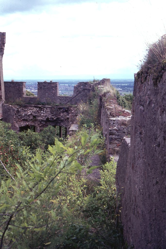 Kintzheim - Chemin de ronde 1968