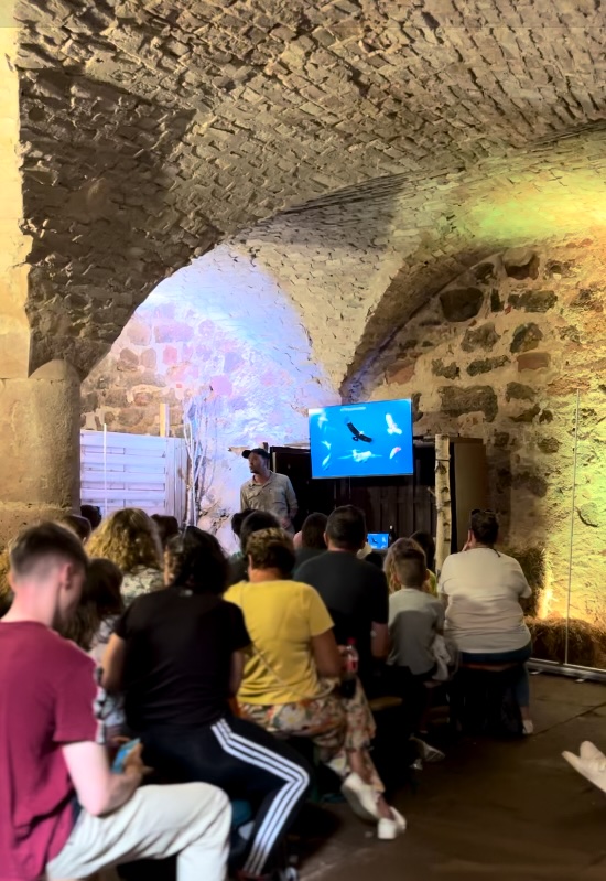 Au fil des saisons - Animation Volerie des Aigles